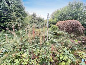 Rear Garden- click for photo gallery